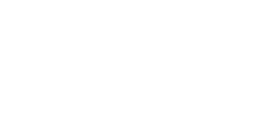 Flair NEO Flex